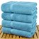 27" x 54" - 17 lbs/doz - %100 Turkish Cotton Aqua Blue Bath Towel - Dobby Border-Robemart.com