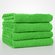 16" x 29" - 100% Turkish Cotton Lime Green Terry Hand Towel-Robemart.com
