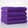 16" x 29" - 100% Turkish Cotton Purple Terry Hand Towel-Robemart.com