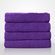 16" x 29" - 100% Turkish Cotton Purple Terry Hand Towel-Robemart.com