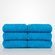 13" x 13" - 100% Turkish Cotton Turquoise Terry Washcloth- 12 Pack (Dozen)-Robemart.com